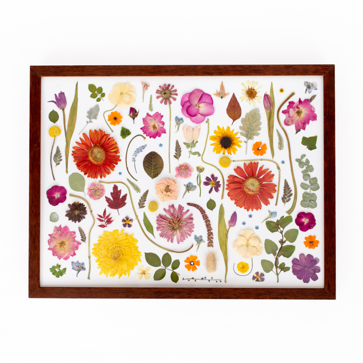18x24 Pressed Floral Frame - blossomandrhyme