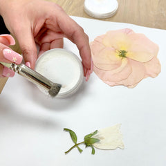 Pressed Color Correction - blossomandrhyme