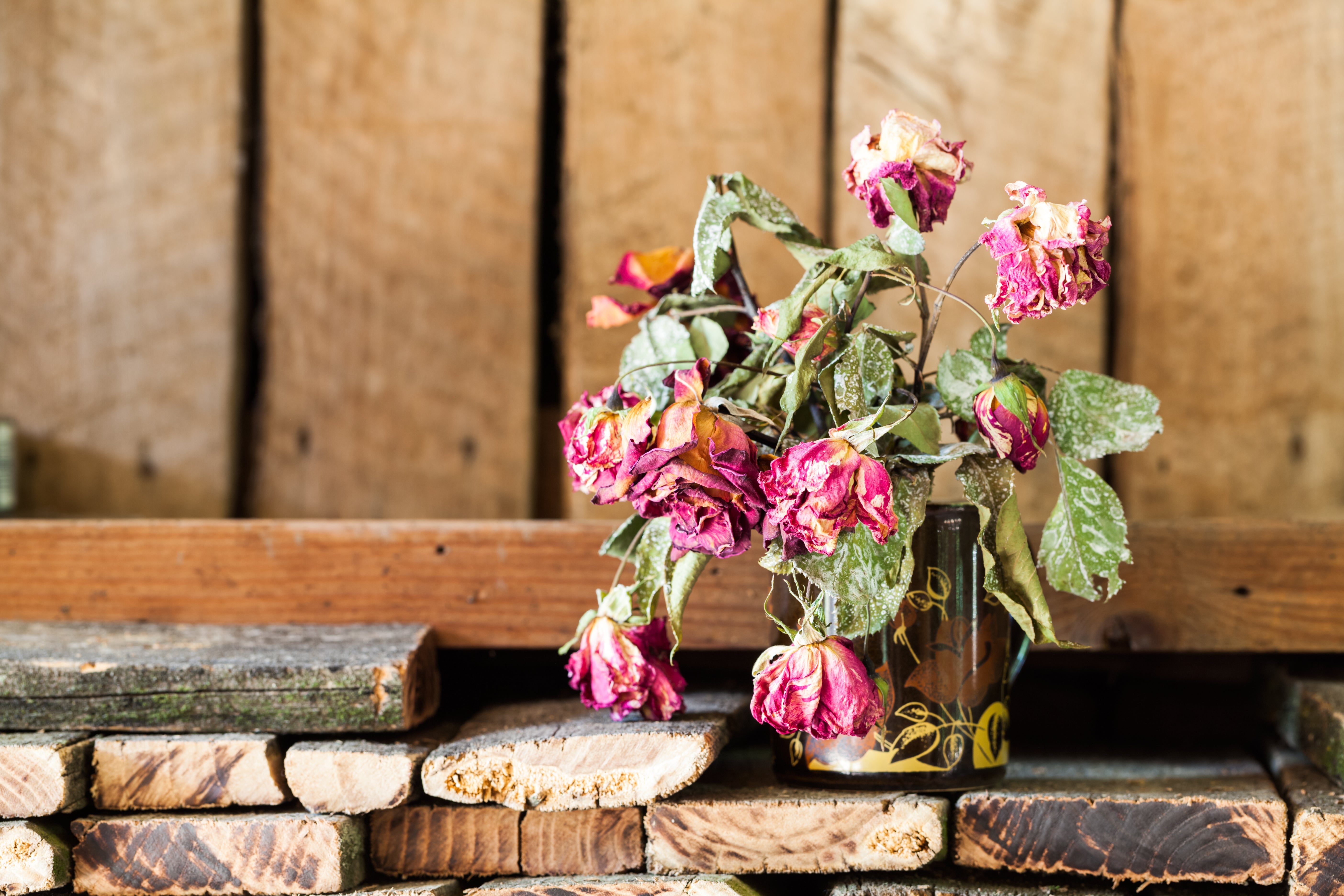 Top Mistakes to Avoid When Preserving Your Wedding Bouquet