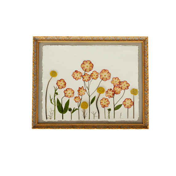 Pressed 11x14  floral frame featuring preserved pink cosmos, yellow billy buttons, delicate wildflowers, and botanical stems arranged in an ornate gold frame, handcrafted by Blossom & Rhyme