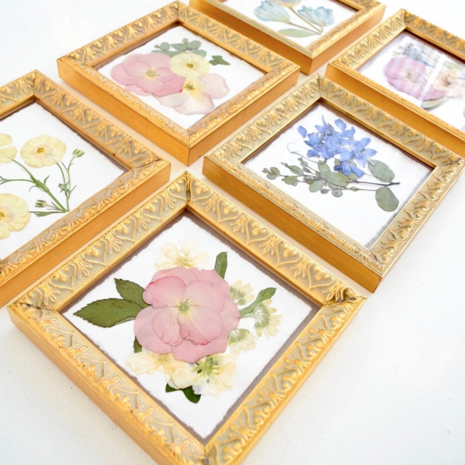 Brillheart’s Blooms Collection - blossomandrhyme