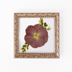 Pressed floral frame 6x6 with preserved wedding bouquet flowers by Blossom & Rhyme