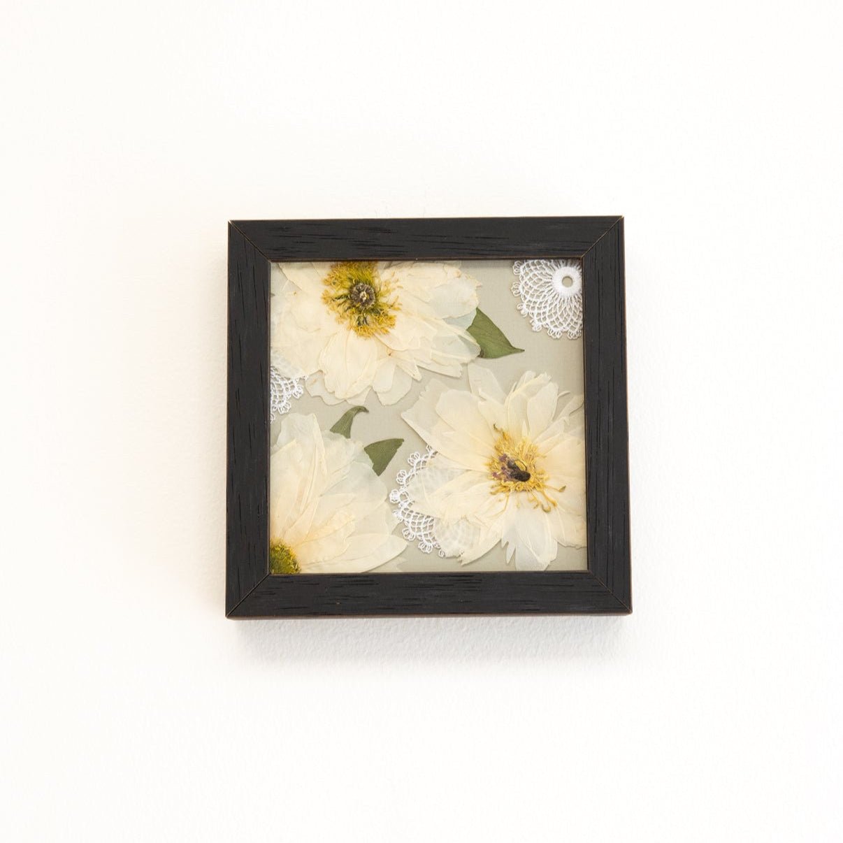 6x6 Pressed Floral Frame - blossomandrhyme