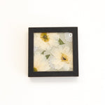 6x6 Pressed Floral Frame - blossomandrhyme