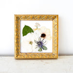 6x6 Pressed Floral Frame - blossomandrhyme