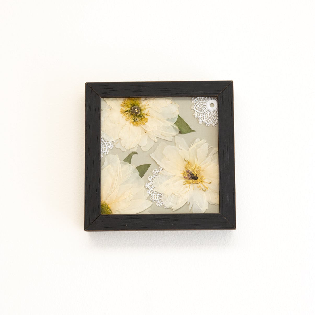 6x6 Pressed Floral Frame - blossomandrhyme