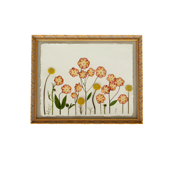 Pressed 11x14  floral frame featuring preserved pink cosmos, yellow billy buttons, delicate wildflowers, and botanical stems arranged in an ornate gold frame, handcrafted by Blossom & Rhyme