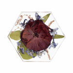 Mini Floral Hexagon - blossomandrhyme