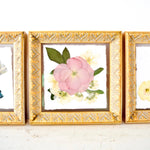 Trio Collage of Floral Frames - blossomandrhyme