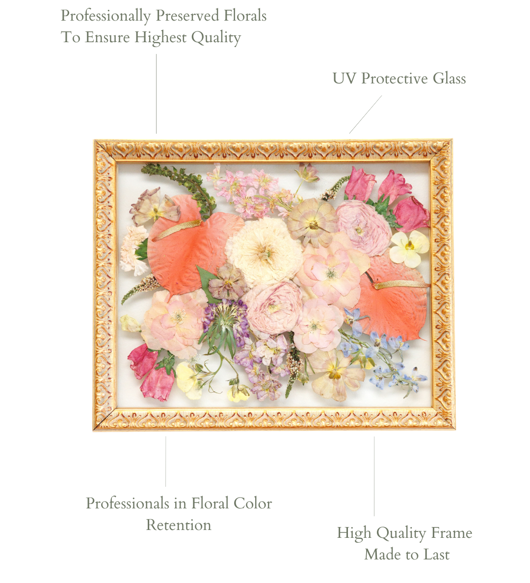 6x6 Pressed Floral Frame - blossomandrhyme
